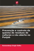 Ramandeep Singh Sidhu | PrevençãO E Controlo Da Queima De ResíDuos De...