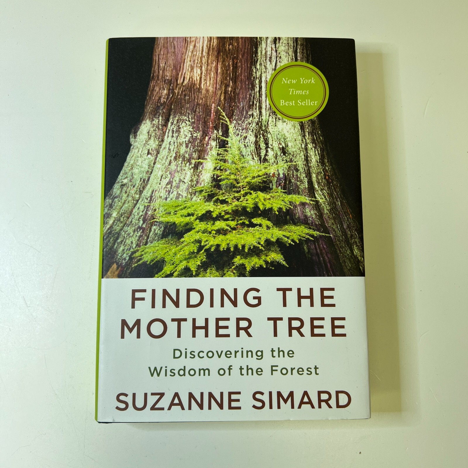 Discover How Forests Connect in Suzanne Simard's Finding the Mother Tree