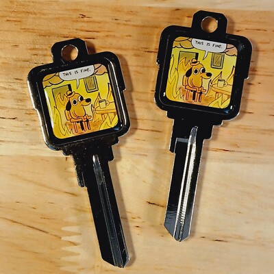 2x This is Fine Meme Nickel Epoxy Deco Keys works w KW1 #66 Kwikset House Keys