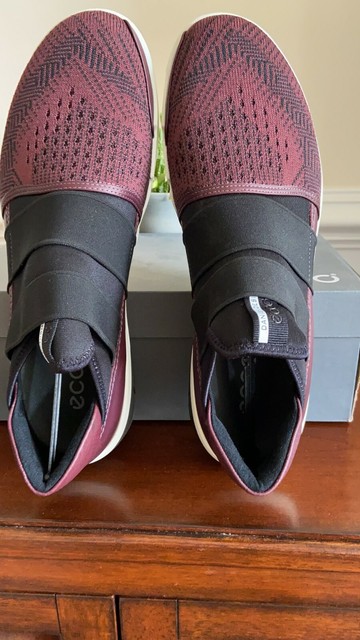 ecco intrinsic 2 men's