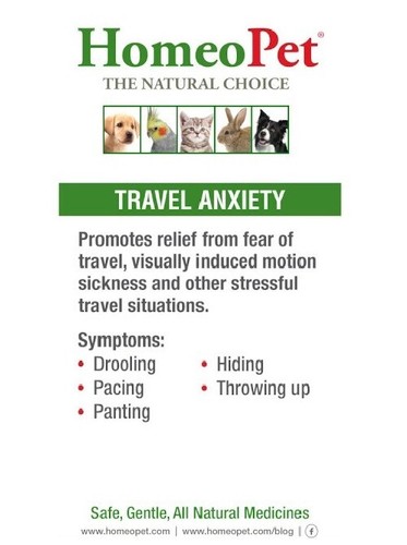 Dog & Cat Travel Anxiety Pet Motion Sickness Relief Safe Natural Calming Drops - Picture 6 of 7