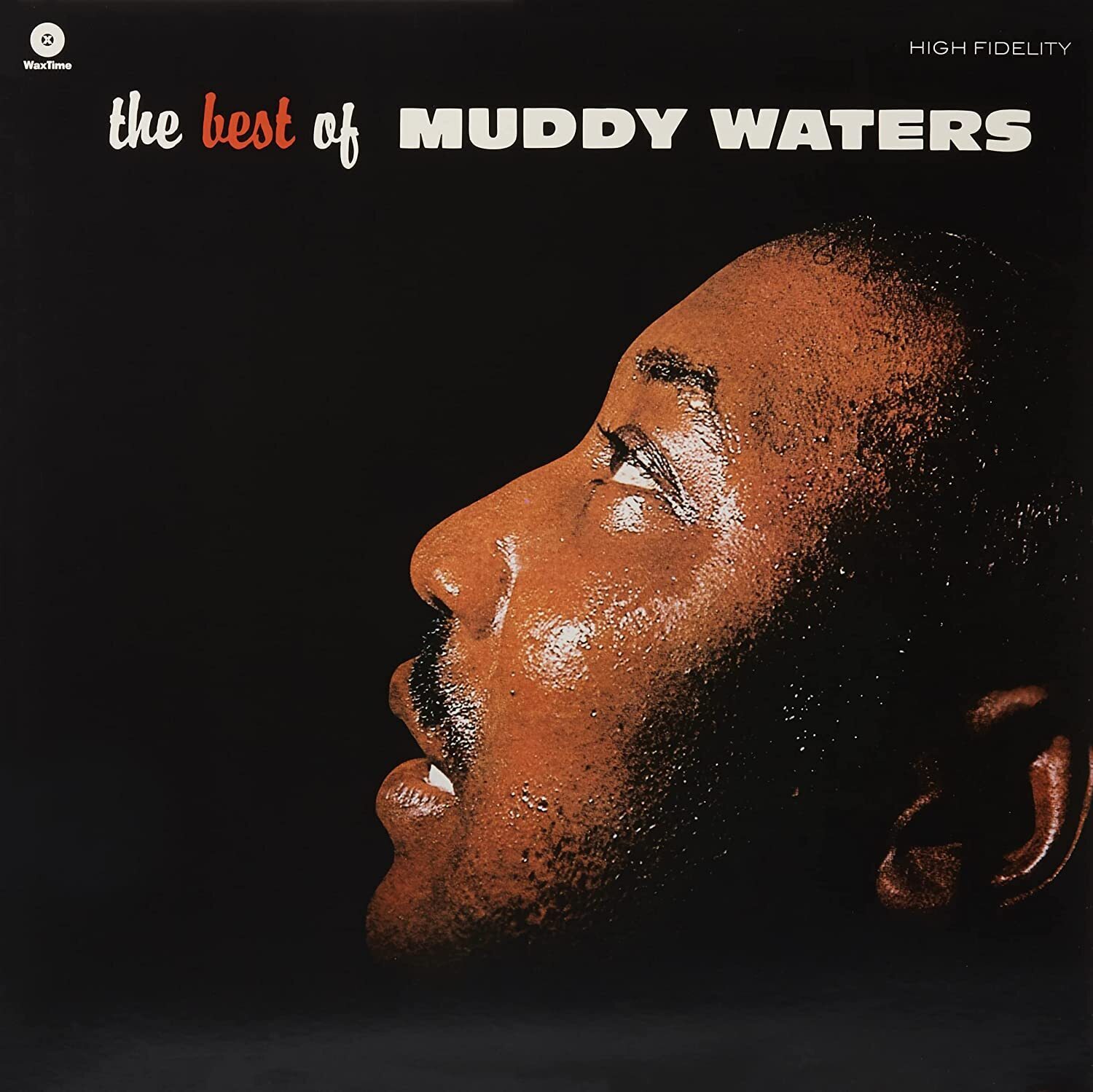 Muddy Waters The Best of Muddy Waters (Vinyl LP) 12" Album