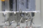 Picture 12 of 19