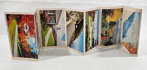 Lot of 17 Vintage Post Cards Booklet The Carters Detachable Alabama Wigwam Etc - Picture 17 of 20