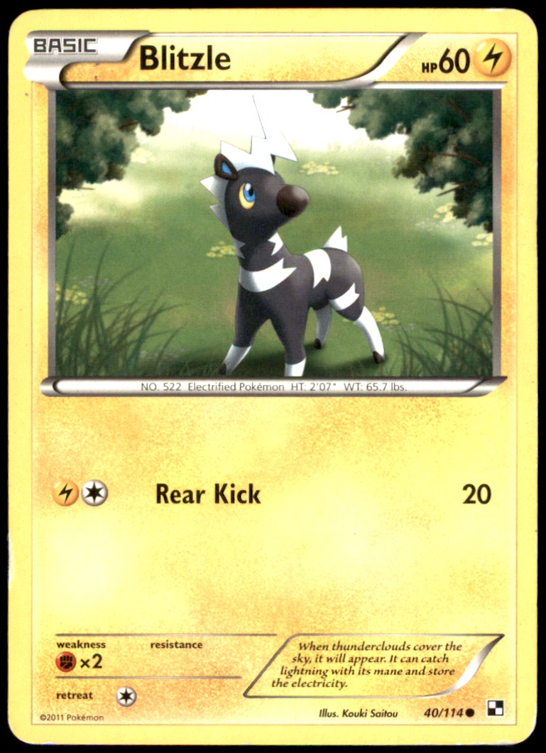Blitzle (40) 40/114 Black and White Regular HP Pokemon TCG