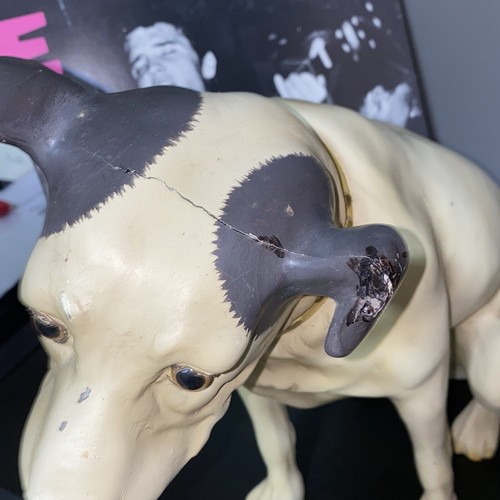 Vtg RCA Victor Nipper Dog 13” Glass Eyes Gold Collar Hard Plastic Store Display - Picture 6 of 12