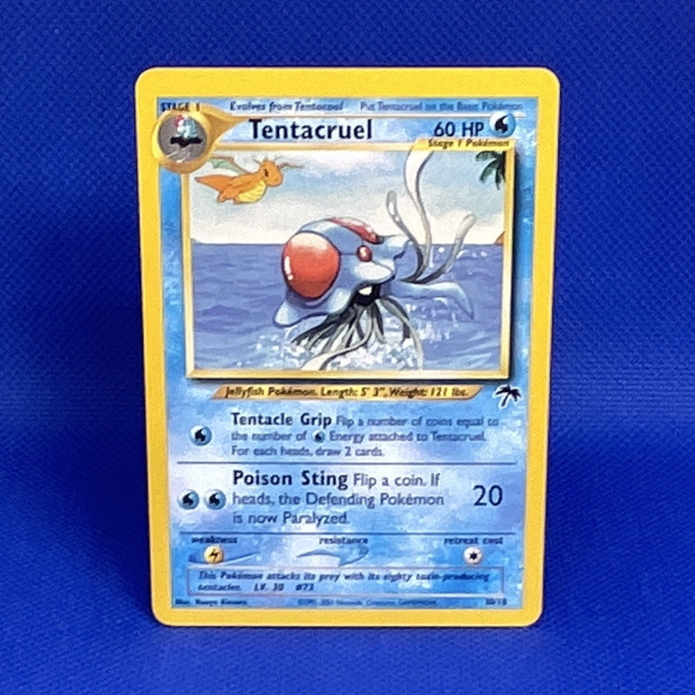 Pokemon TCG Tentacruel 10/18 Southern Islands Promo Regular Eng 60 HP