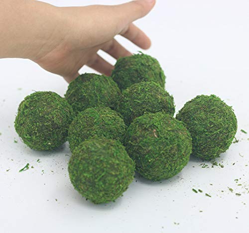 Nice purchase Handmade Natural Green Plant Moss Balls Decorative for Home 2 in - Picture 5 of 7