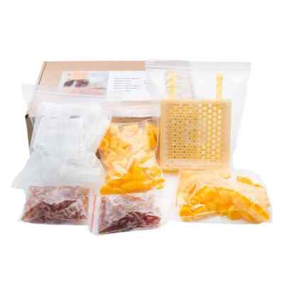 Queen Rearing Kits Bee Incubator Queen Rearing Box Cages Queen Bees Breeding Box