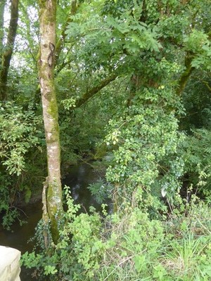 Photo 6x4 Medland Brook at Millbrook Inwardleigh  c2017