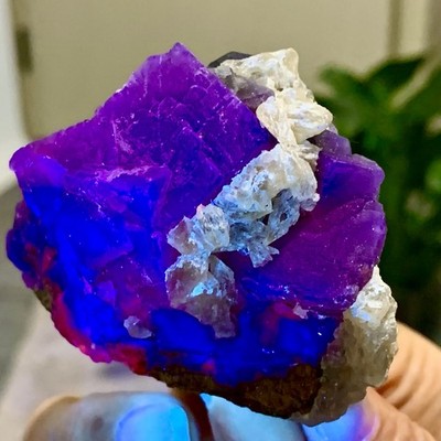 184G Natural black rose fluorescent cube fluorite specimen glow under UV light