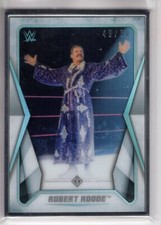 2020 Topps WWE Transcendent Collection ROBERT ROODE #37 Silver Framed 49/50