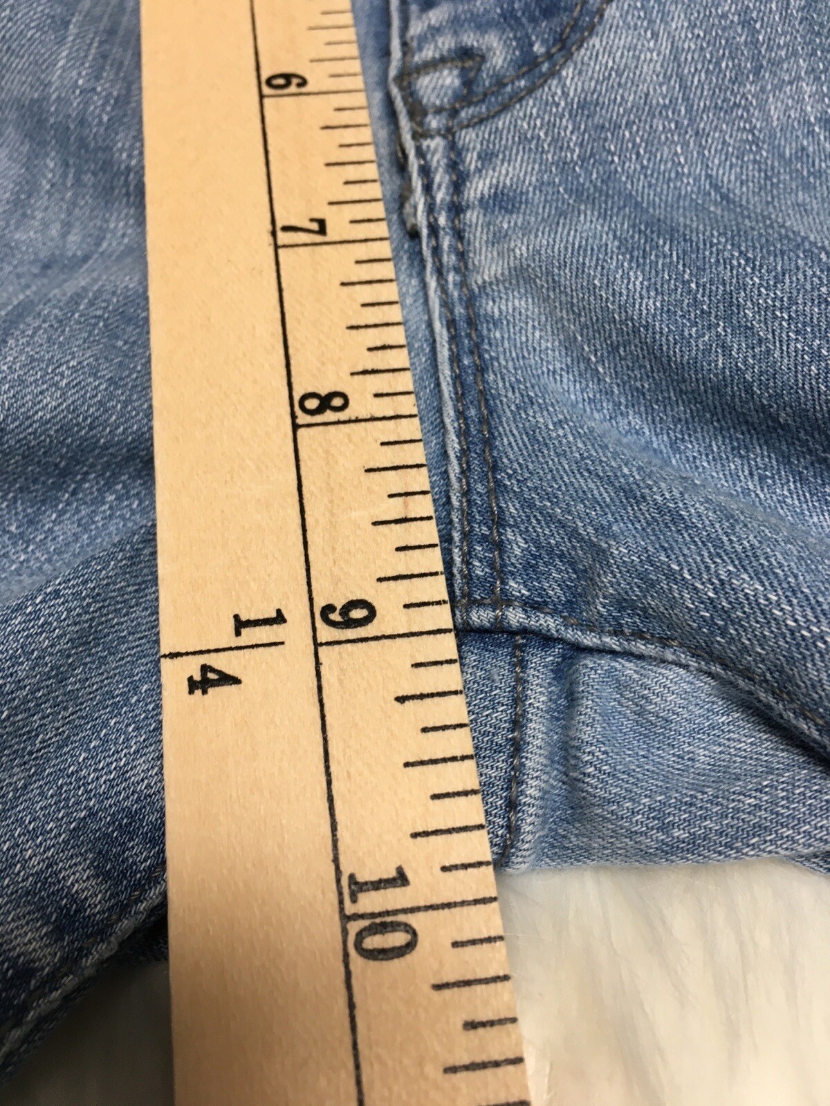 Foto 12 di 12