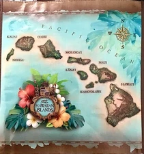 HAWAIIAN ISLANDS MAP REUSABLE SHOPPING BAG  BEACH BAG / BEACH TOTE