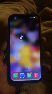 iPhone 13 Pro Max With TikTok Installed (Great Condition)