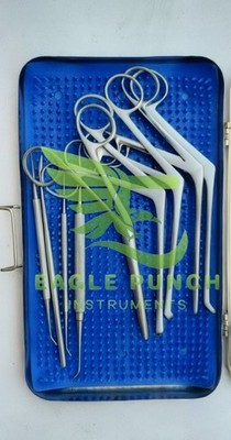10 Pcs Minor Fess instruments Set Endoscopic Sinus surgery ENT Surgical Set