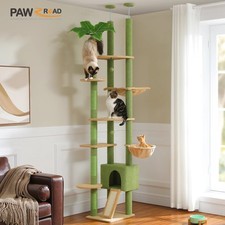 Cactus Floor-to-Ceiling Cat Tree - Adjustable Height with Condo, Hammock Scrat
