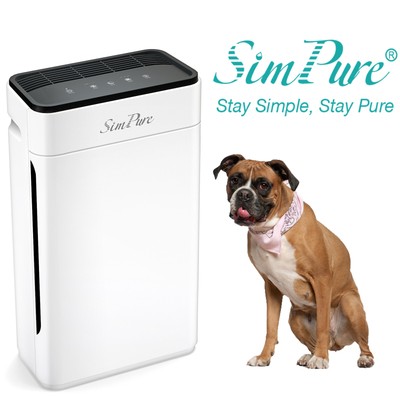 Whole Home Air Purifier Large Room Allergies Pets Dust Smoke Odor Air Cleaner