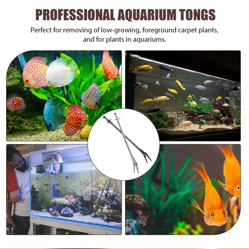 2 Pezzi Pinzette Acquatiche Acquario Pulizia Pianta Etxra Lunghe per Pesciera - Foto 12 di 12