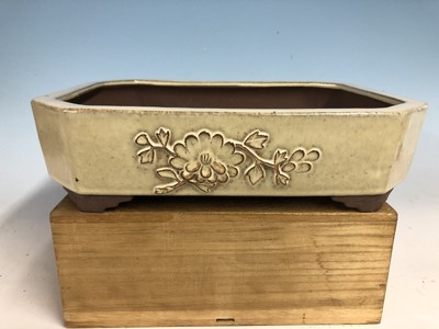 Cream Glazed Floral Motif Tokoname Bonsai Tree Pot Made By Cream Glazed Floral Motif Tokoname Bonsai Tree Pot Made By