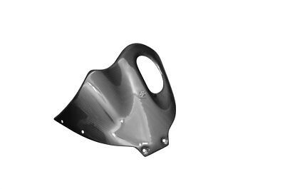 Carbon Bugspoiler Mittelteil für Buell XB