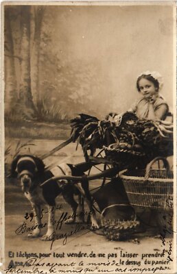 CPA AK Girl with a Working Dog DOGS (1387590)