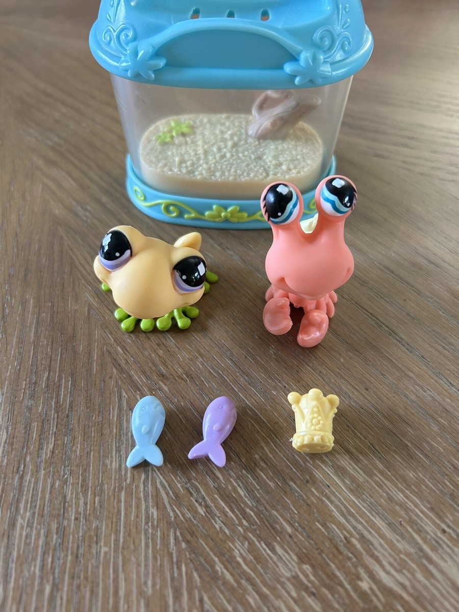 パピプペット パピプペット、関コレにオープニングアクトとして登場 - YouTube