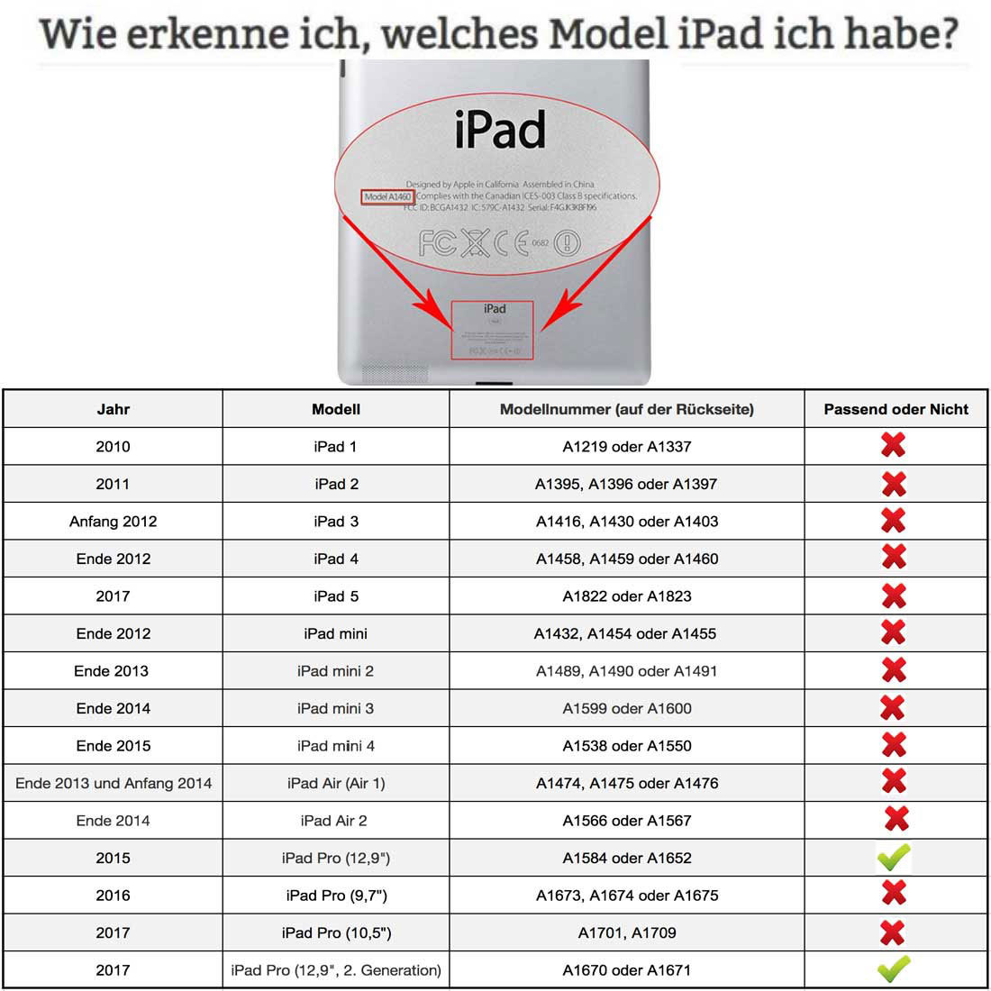 Bild 12 von 12