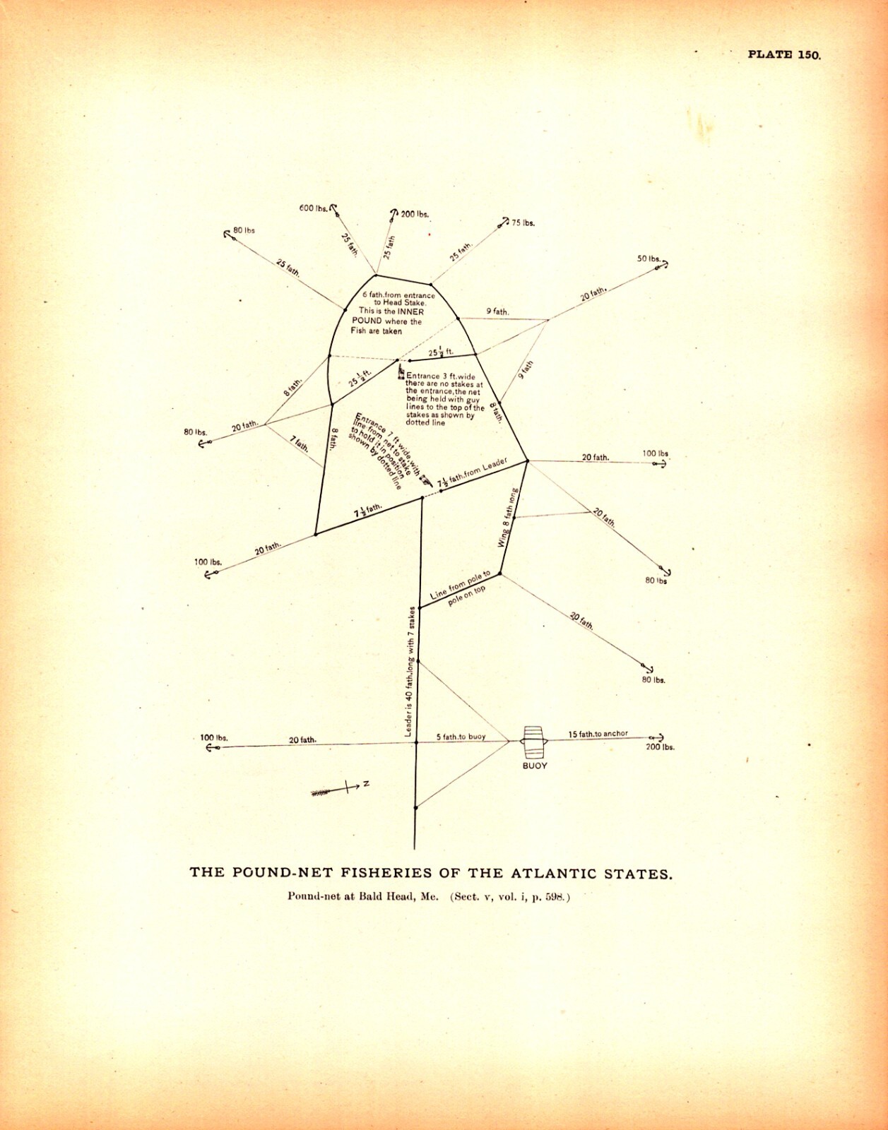 1887 Antique Original Engraving of Pound-Net Fisheries in Bald Head ME