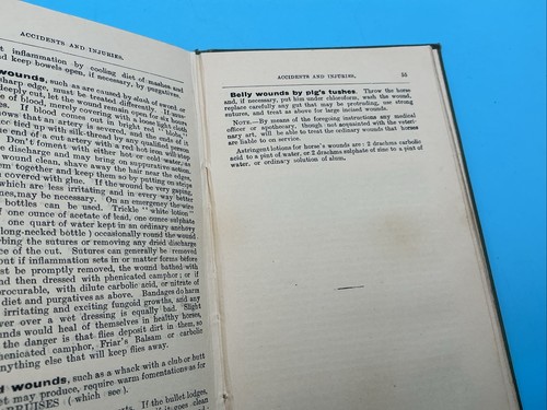 Indian Horse Notes An Epitome Of Useful Information 1906 - Picture 7 of 17