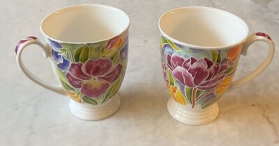 Royal Garden Floral Garden Fine Bone China Teacups Set of 2 Etched Watercolor