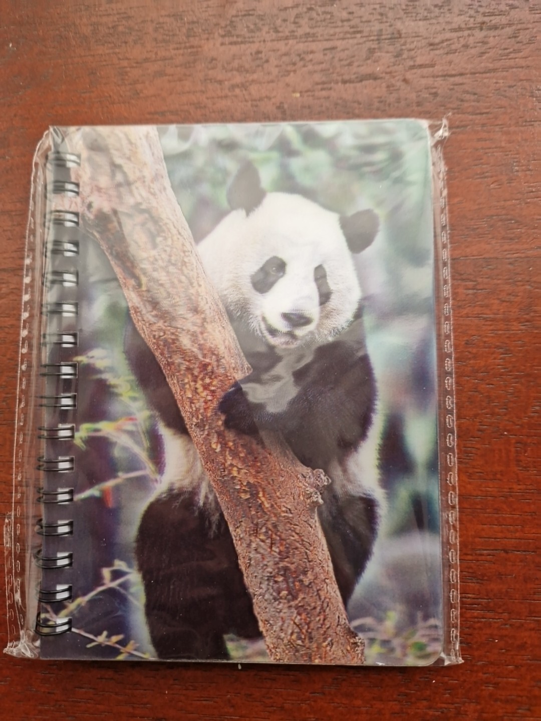 Giant Panda Notebook Giant Pandas Notebooks A6 lined Notepad Animal Notepads