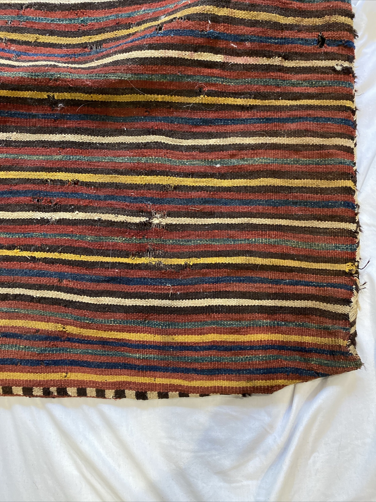 Picture 5 of 13