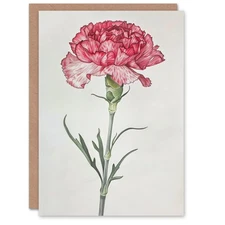 Carnation Flower Detailed Floral Coloured Pencil Birthday Card