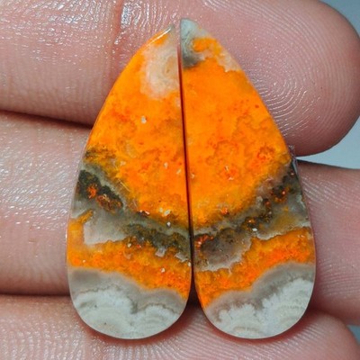 23.30 Cts Natur Bumble Bee Jasper Fancy Paar Cabochon Lose Edelsteine 12x29x4 mm