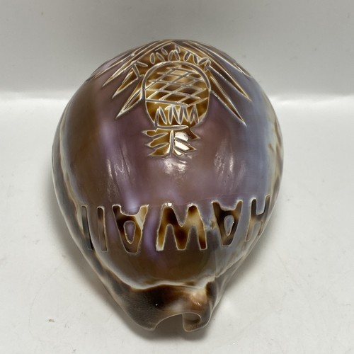 Vintage Cowrie Tiger Seashell Carved Etched Hawaii Pineapple Ocean Beach-T2 - Picture 5 of 11