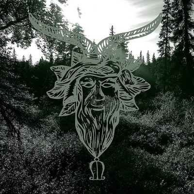 Common Eider, King Eider Yearn (CD) Album
