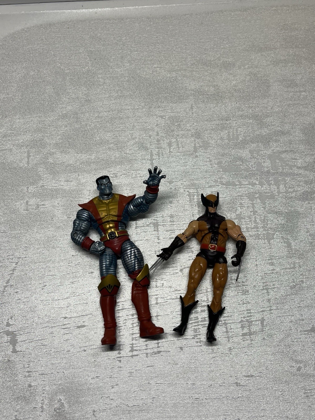 Picture 6 of 6