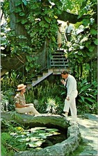 Vintage Postcard Nassau Bahamas Royal Victoria Hotel Treehouse