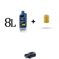 Set ÖLfilter Und 8L FüR Mercedes Gl, Gls (X166) Gl 350 Cdi Bluetech 190Kw Von