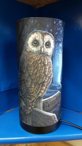 OWL CHOUETTE BÚHO EULEN GUFO CANVAS LAMPADA TELA LAMP WAY OF THE WITCH BY PARKER - Picture 2 of 2