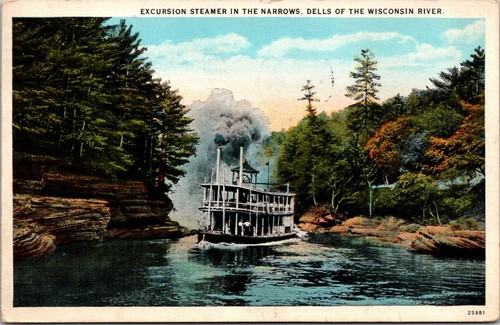 Excursion Steamer in the Narrows Dells of the Wisconsin River Postcard - Foto 1 di 2