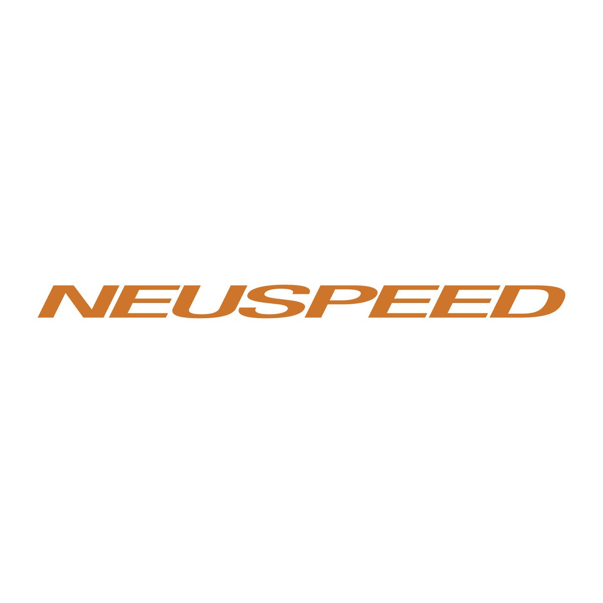 Logotipo De Neuspeed