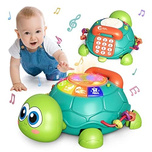 Musical turtle toy hot sale
