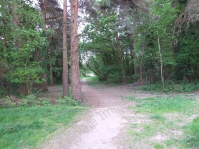 Photo 6x4 Footpath, Trickett's Cross, Ferndown This path leads from Lidl& c2011