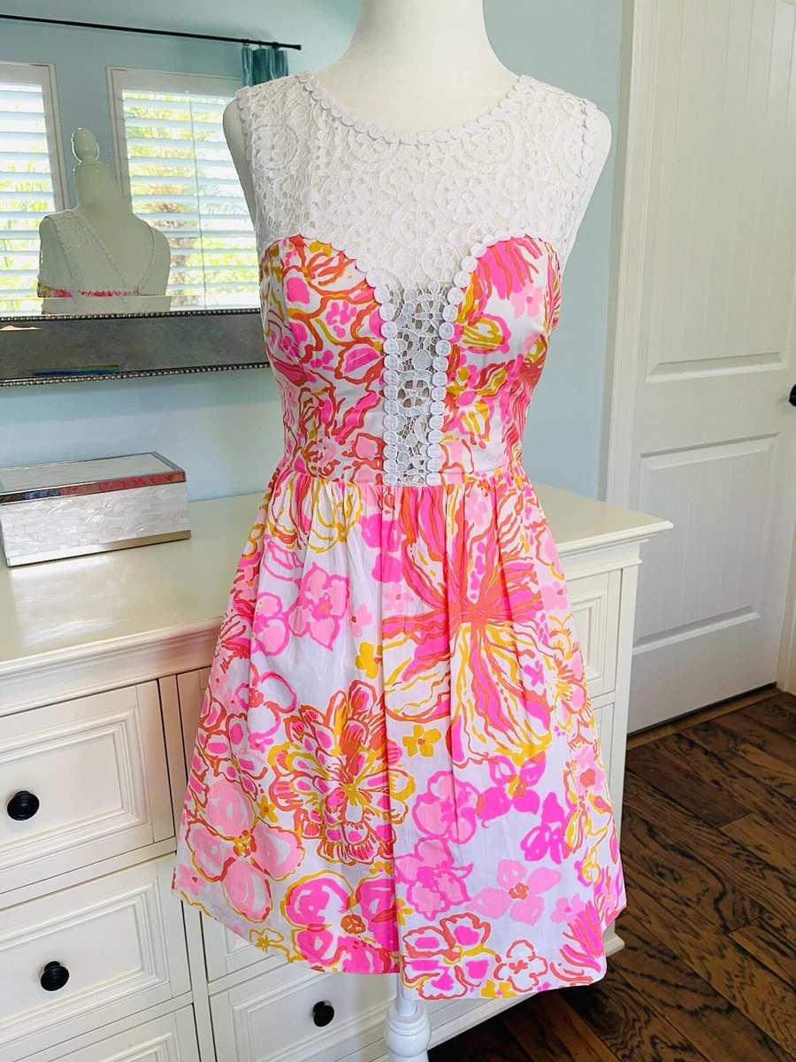 Lilly pulitzer raegan best sale dress