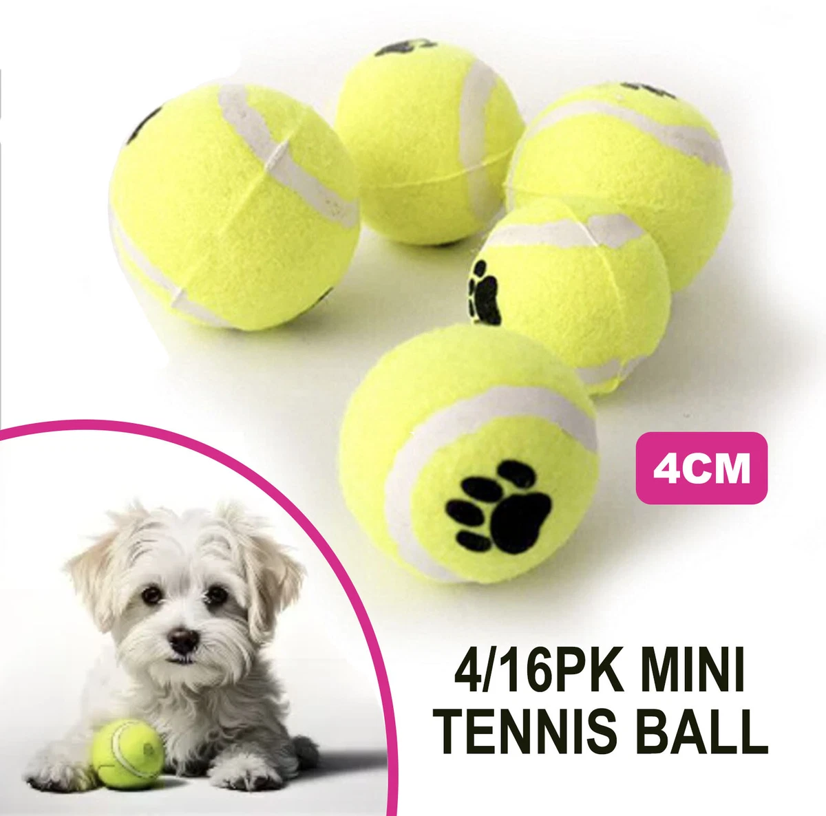 Small dogs that play fetch sales