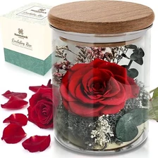 Red Rose in a Glass Dome - Premium Real Roses that Last a Year or More - Mother