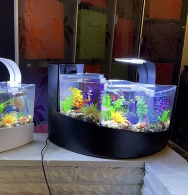 Aqueon Betta Falls Black 3 Sep Aquarium Waterfall Fish Tank