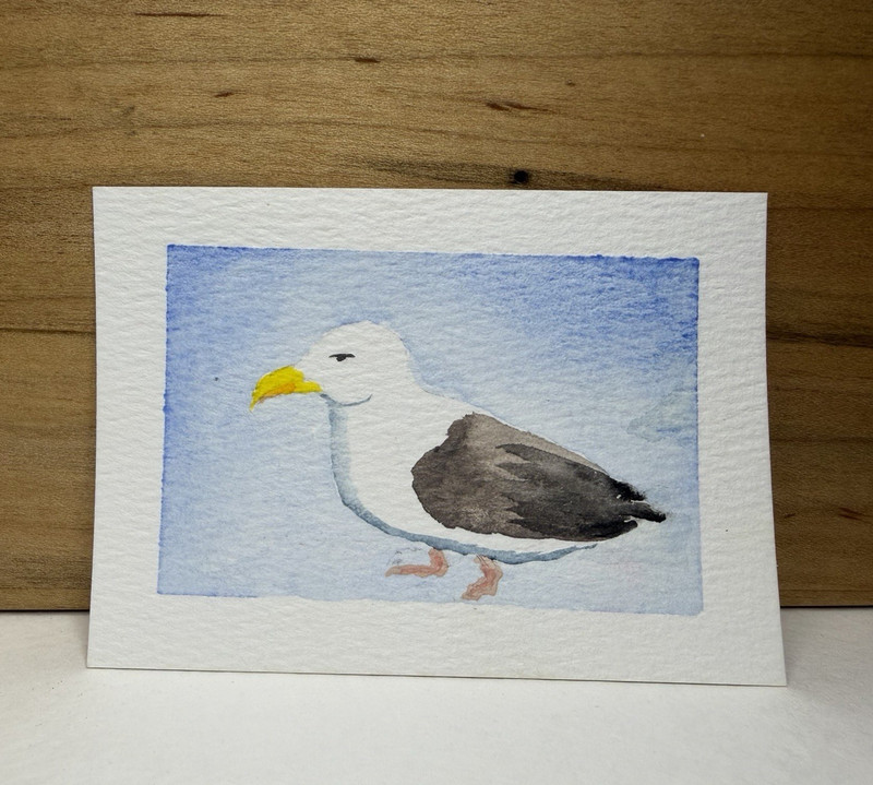 Original ACEO - Watercolor seagull with blue background by finns.paints